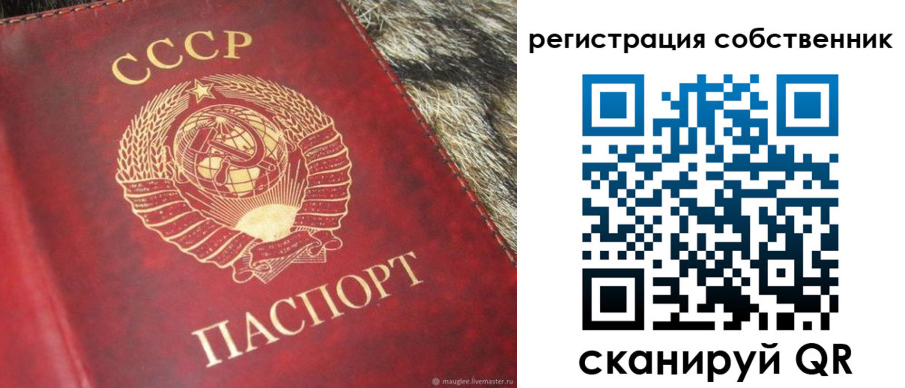временная регистрация надежно в Ростове-на-Дону